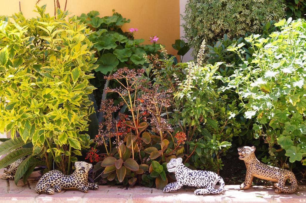 J&K Suite San Cristóbal de Las Casas エクステリア 写真